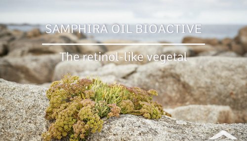 Samphira Oil Bioactive, un retinol-like végétal